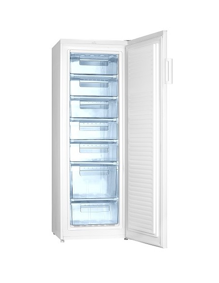 Grand congélateur armoire vertical grande capacité réfrigérant (volume –  Helloshop26